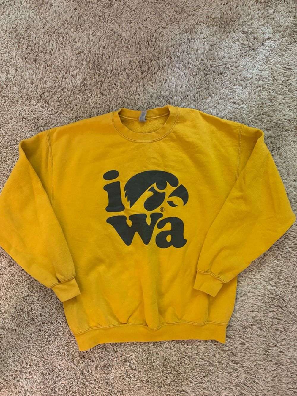 University of Iowa Crewneck